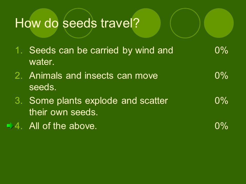 How do seeds travel Seeds can be carried by wind and water.