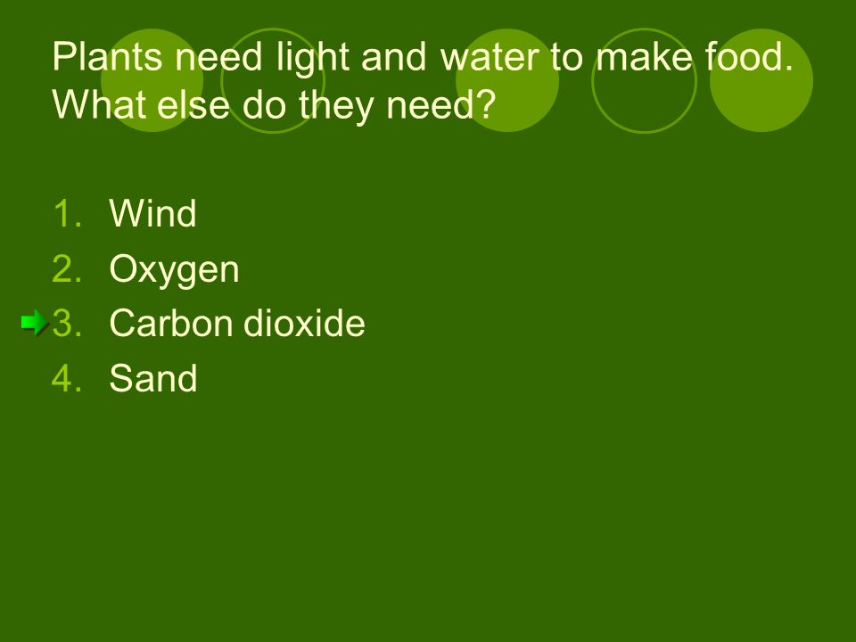 Plants need light and water to make food. What else do they need