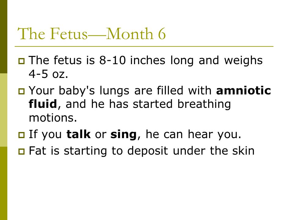 The Fetus—Month 6 The fetus is 8-10 inches long and weighs 4-5 oz.