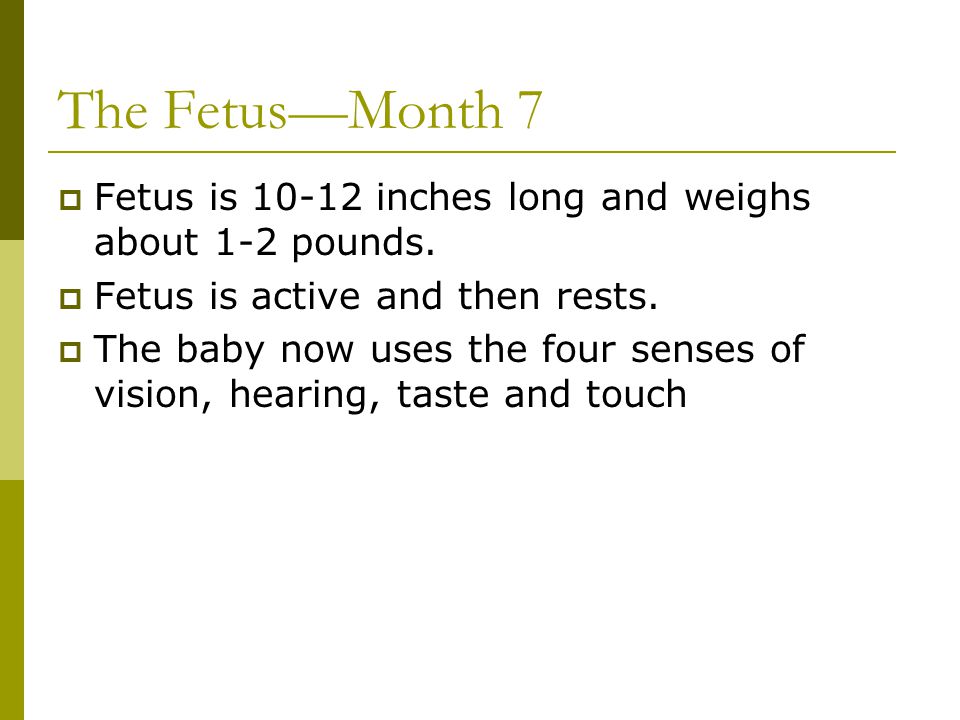 The Fetus—Month 7 Fetus is inches long and weighs about 1-2 pounds. Fetus is active and then rests.