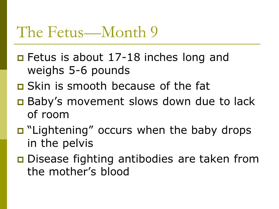 The Fetus—Month 9 Fetus is about inches long and weighs 5-6 pounds. Skin is smooth because of the fat.