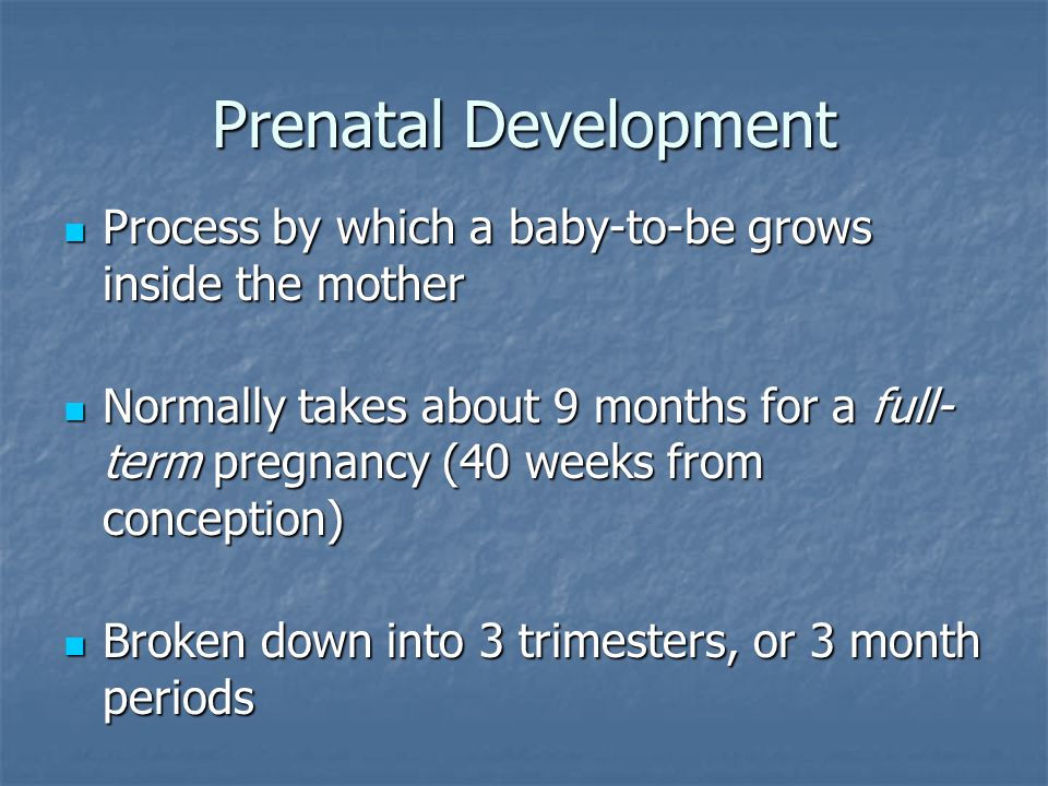 Prenatal Development Process by which a baby-to-be grows inside the mother.