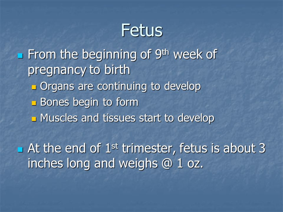 Fetus From the beginning of 9th week of pregnancy to birth