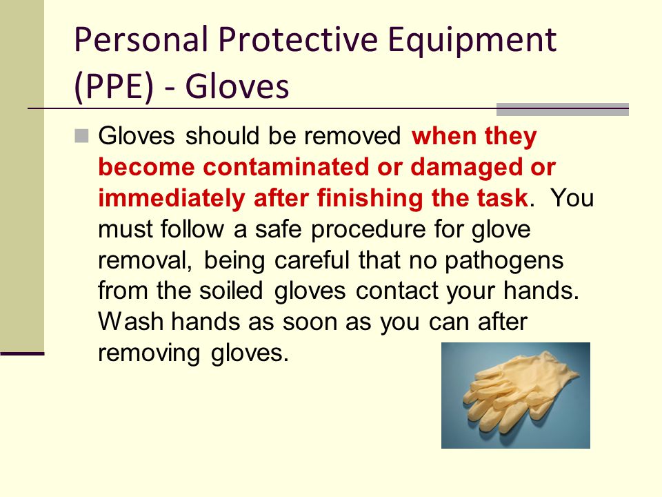 Personal Protective Equipment (PPE) - Gloves