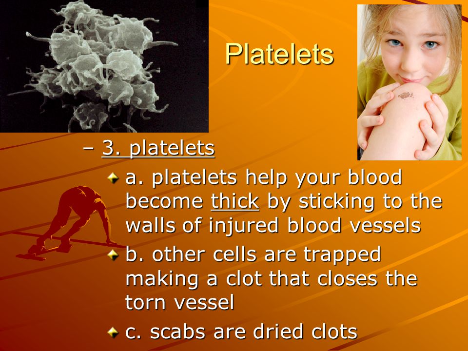 Platelets 3. platelets. a. platelets help your blood become thick by sticking to the walls of injured blood vessels.