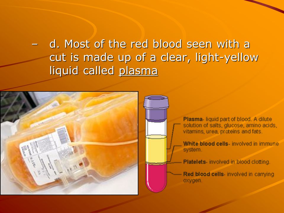 d. Most of the red blood seen with a cut is made up of a clear, light-yellow liquid called plasma