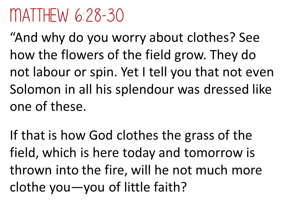 Matthew 6:28-30