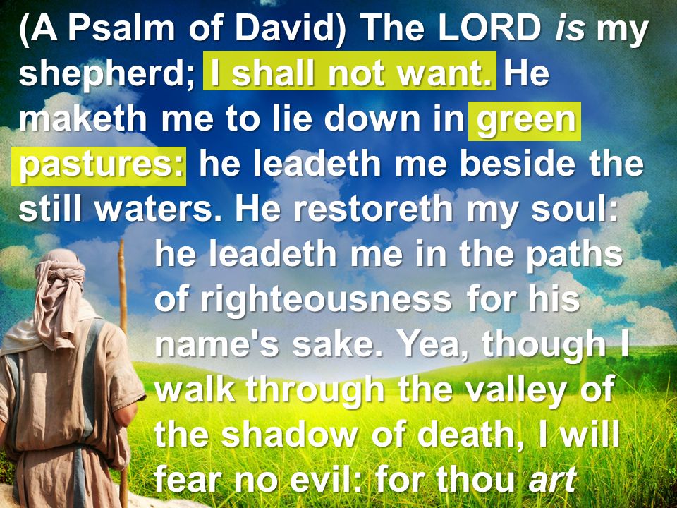 (A Psalm of David) The LORD is my shepherd; I shall not want
