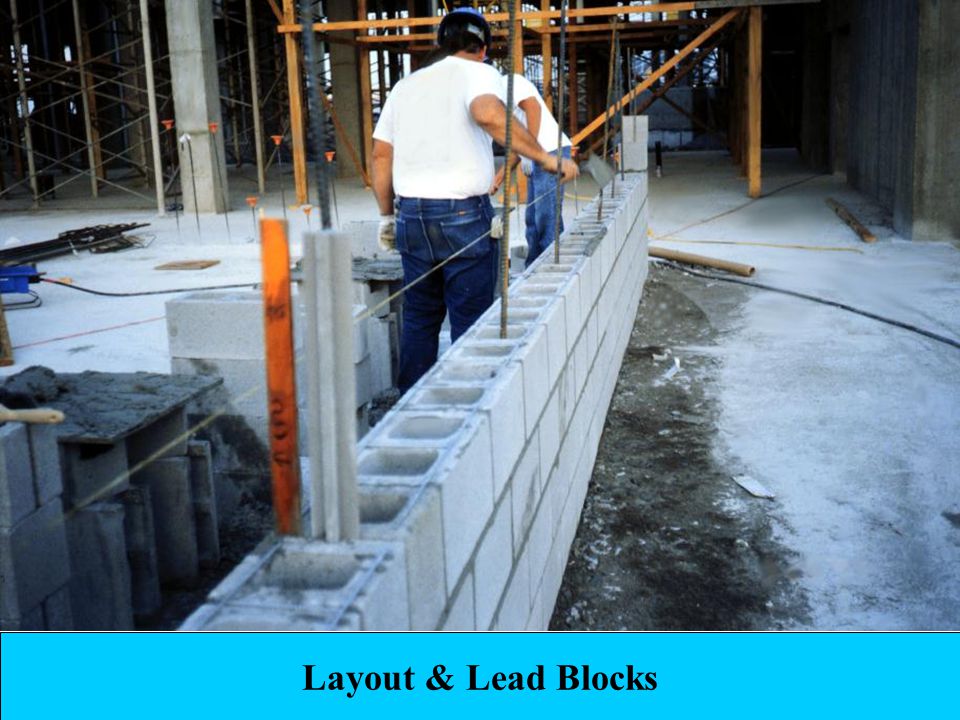 Layout & Lead Blocks