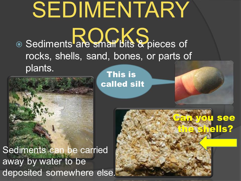 SEDIMENTARY ROCKS Sediments are small bits & pieces of rocks, shells, sand, bones, or parts of plants.