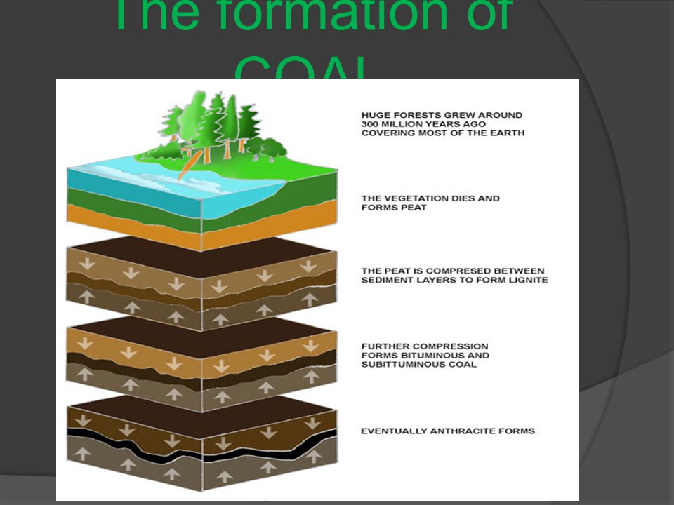The formation of COAL