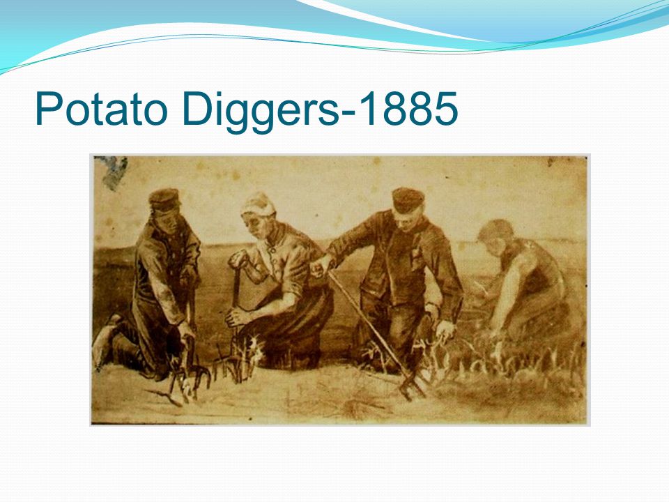 Potato Diggers-1885 Same coloration here…