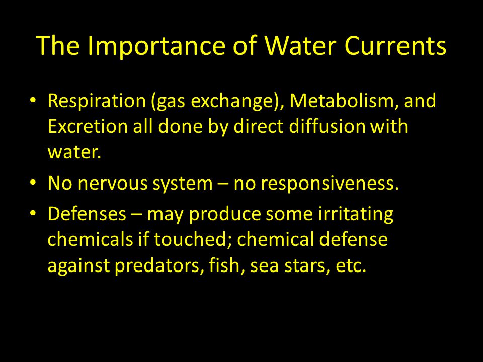 The Importance of Water Currents