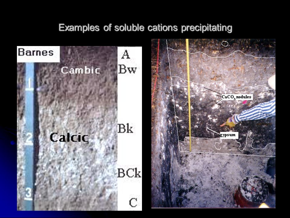 Examples of soluble cations precipitating