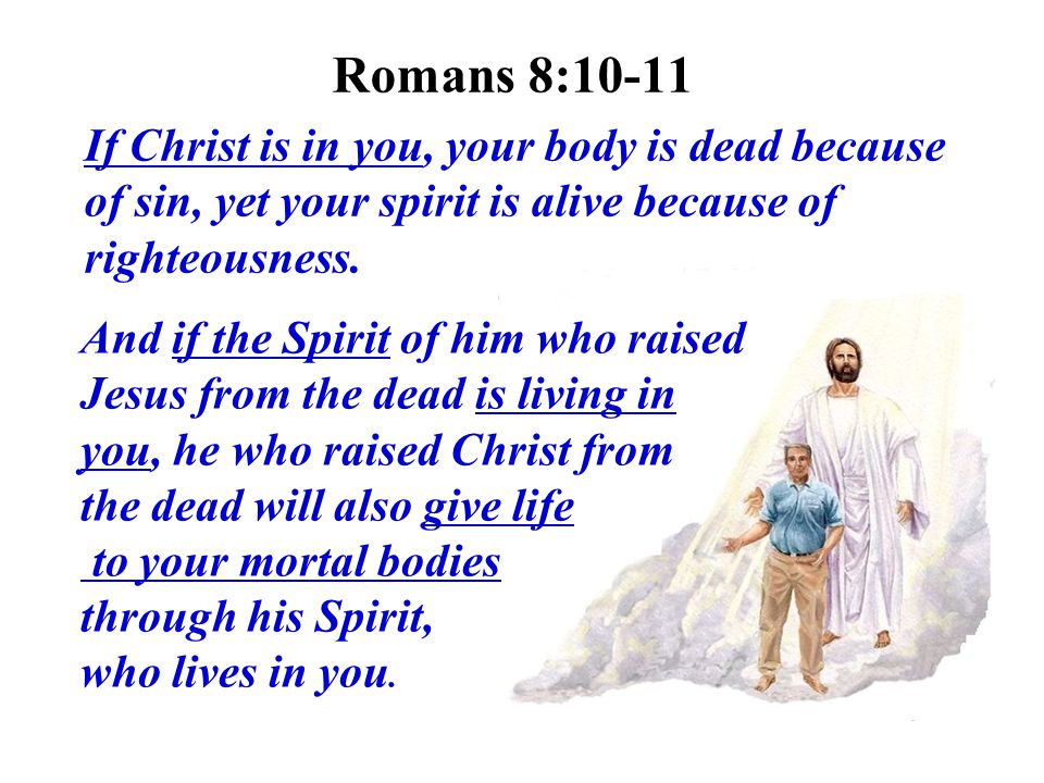 Romans 8:10-11 If Christ is in you, your body is dead because of sin, yet your spirit is alive because of righteousness.