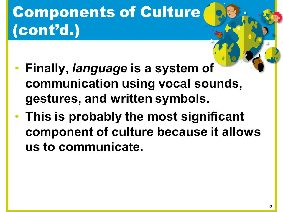 Components of Culture (cont’d.)
