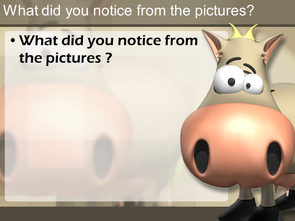 What did you notice from the pictures