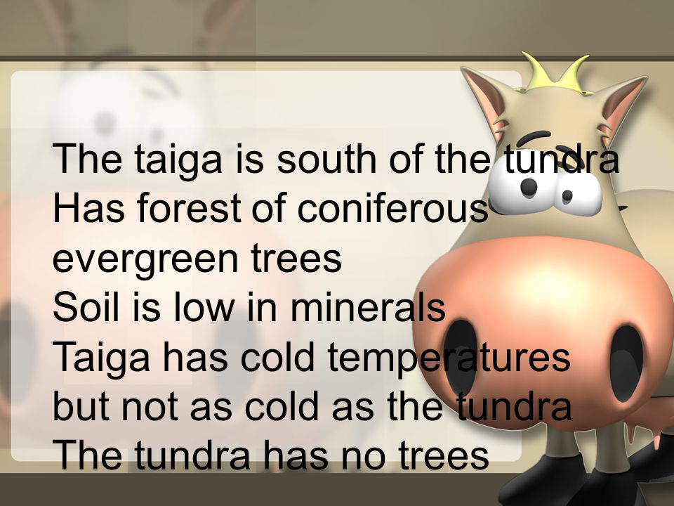 The taiga is south of the tundra
