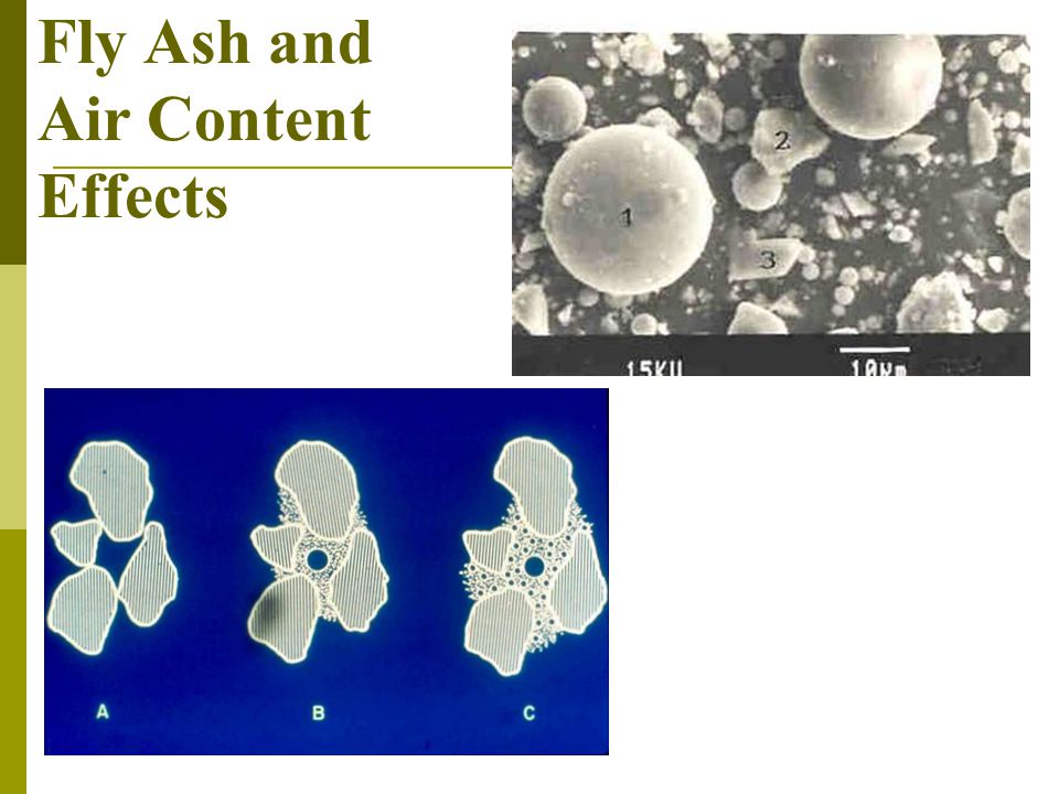 Fly Ash and Air Content Effects