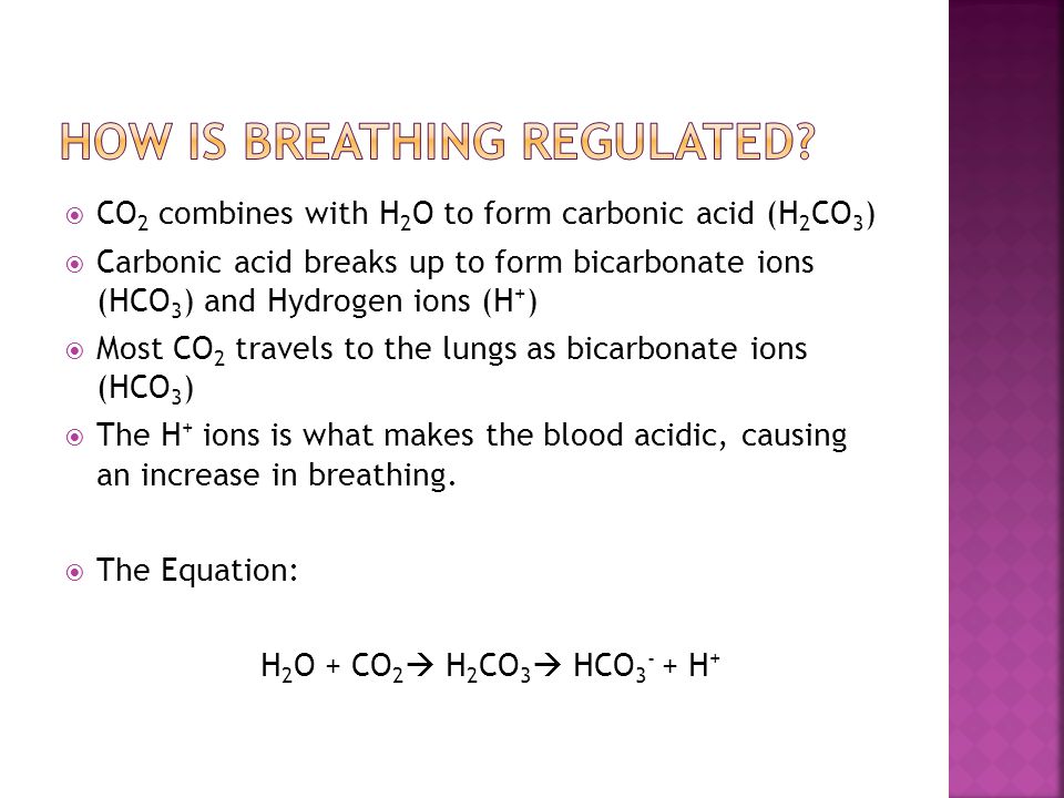 How is breathing regulated