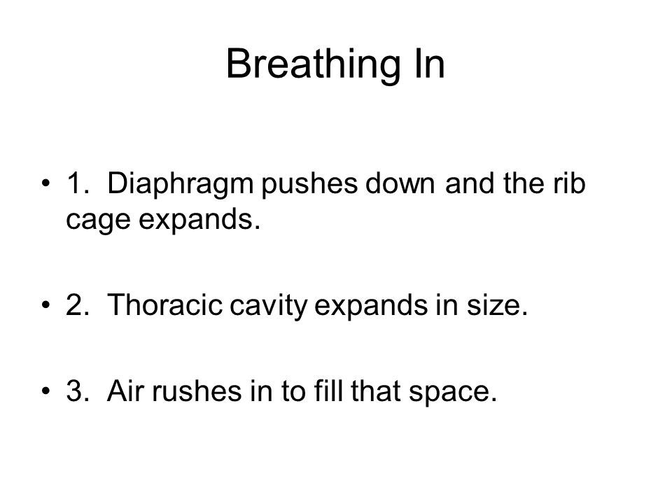 Breathing In 1. Diaphragm pushes down and the rib cage expands.
