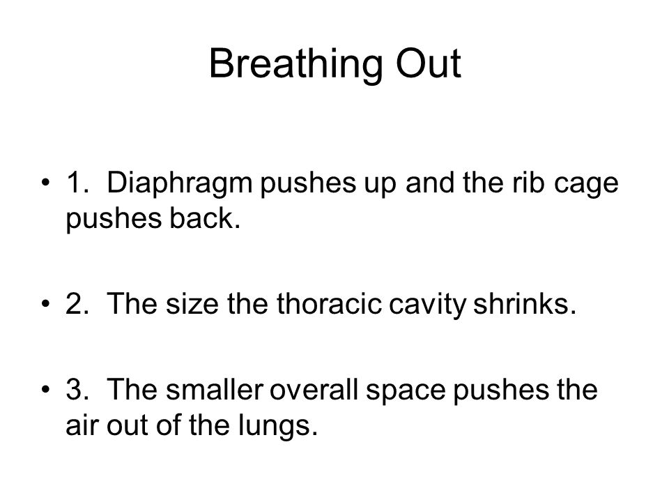 Breathing Out 1. Diaphragm pushes up and the rib cage pushes back.