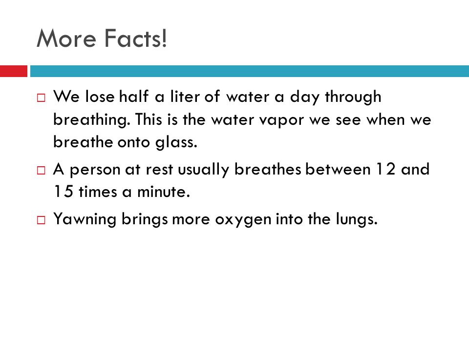 More Facts! We lose half a liter of water a day through breathing. This is the water vapor we see when we breathe onto glass.