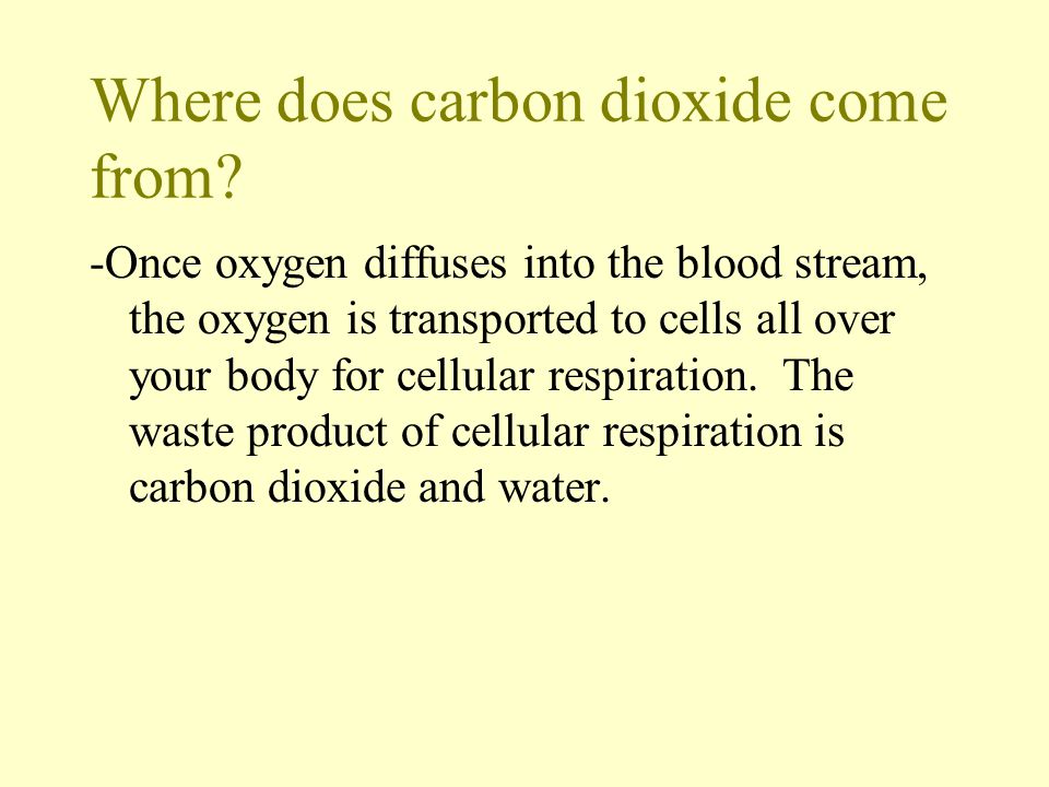 Where does carbon dioxide come from