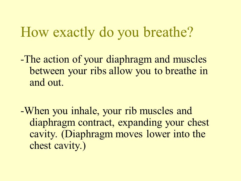 How exactly do you breathe
