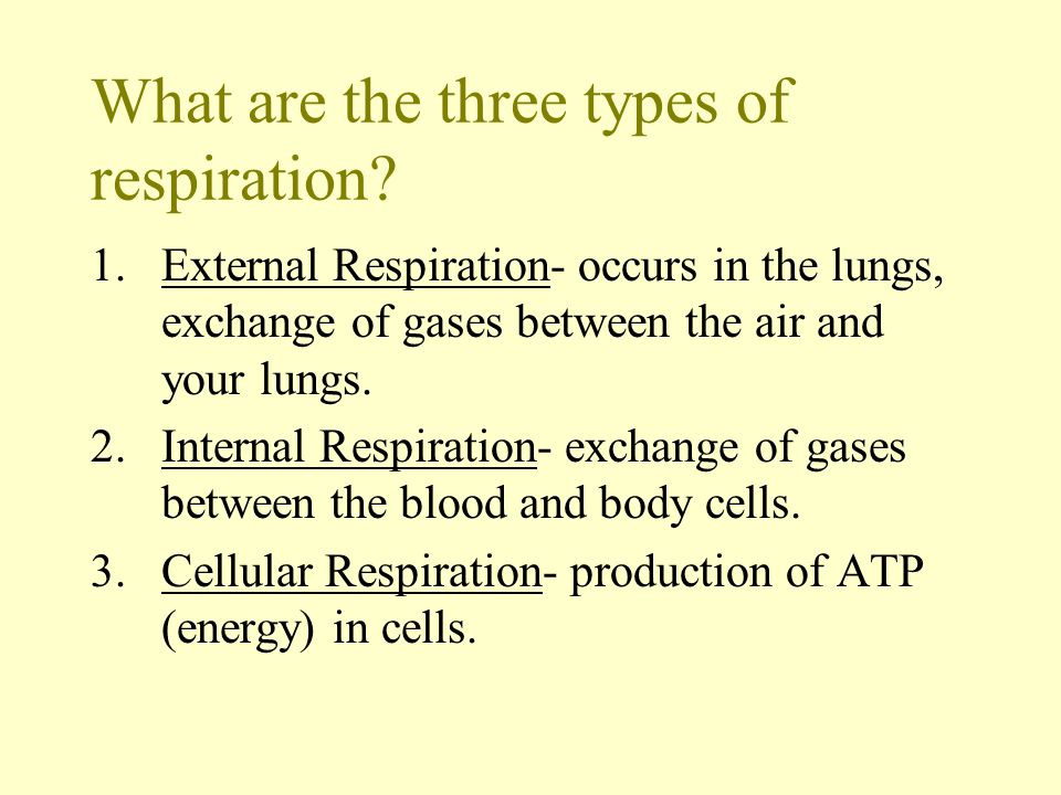 What are the three types of respiration