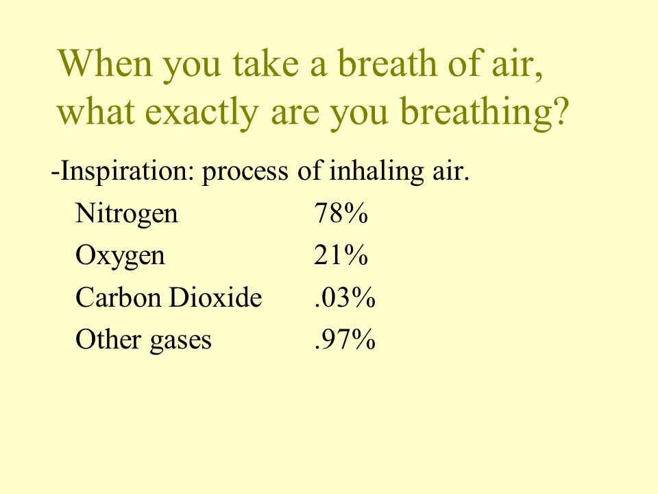 When you take a breath of air, what exactly are you breathing