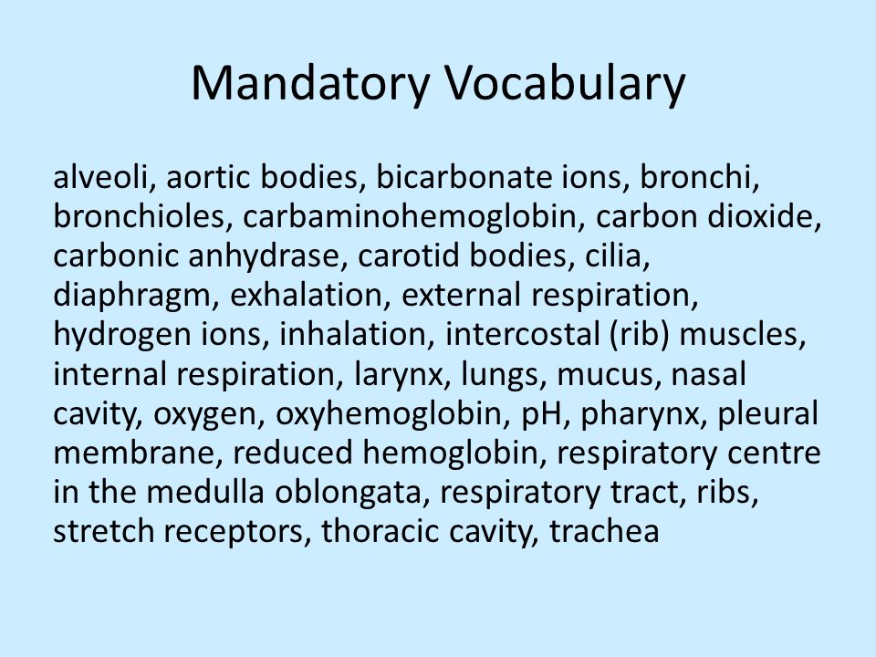 Mandatory Vocabulary