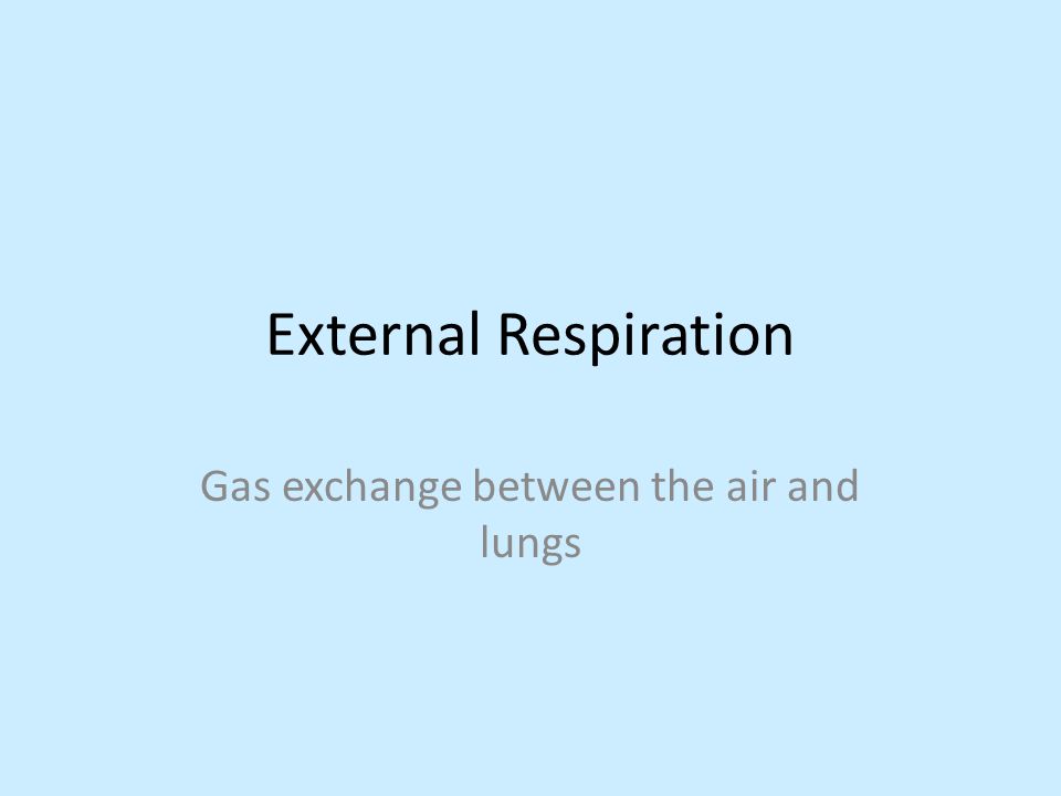 Gas exchange between the air and lungs