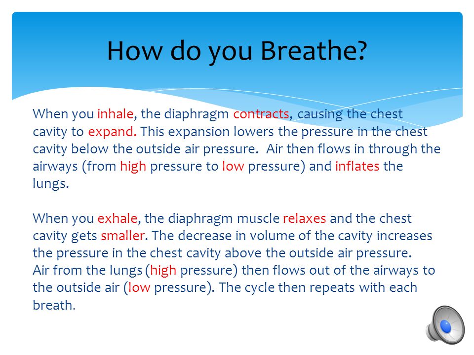 How do you Breathe