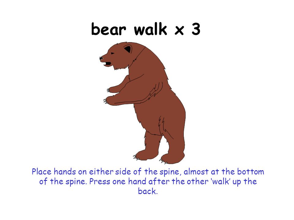 bear walk x 3 Place hands on either side of the spine, almost at the bottom of the spine.