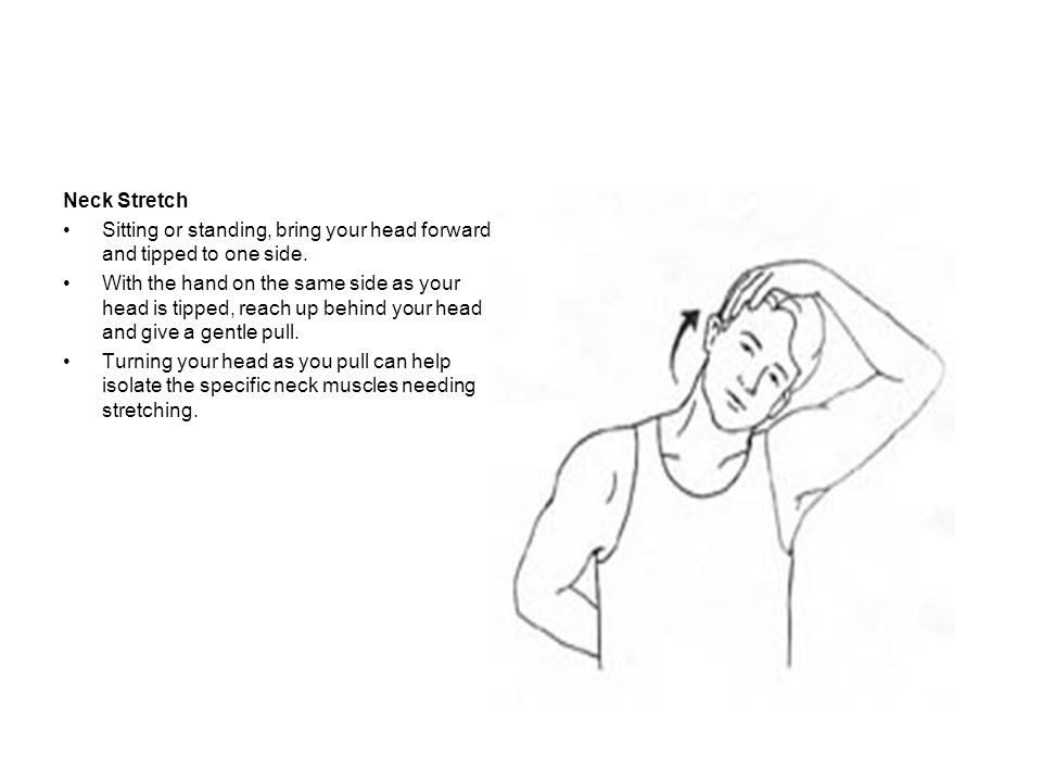 Neck Stretch Sitting or standing, bring your head forward and tipped to one side.