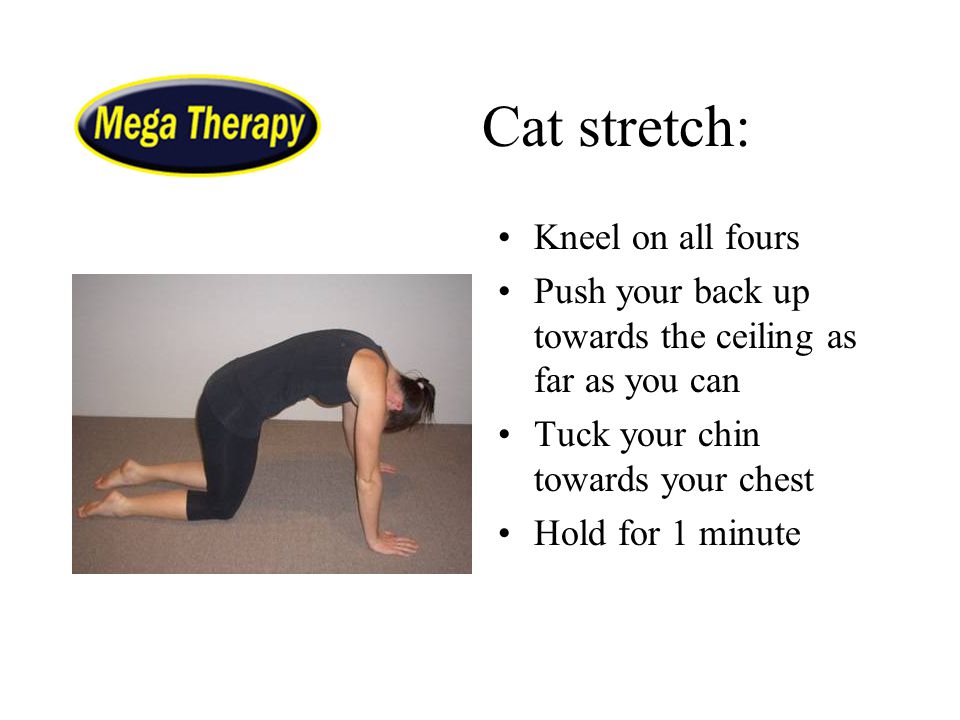 Cat stretch: Kneel on all fours