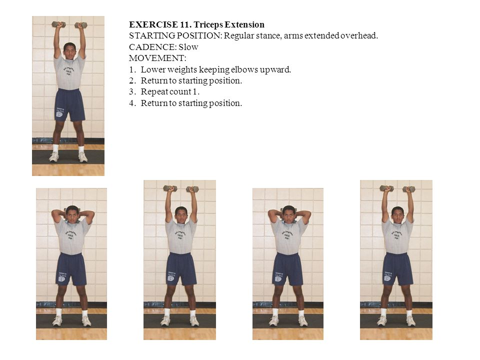 EXERCISE 11. Triceps Extension