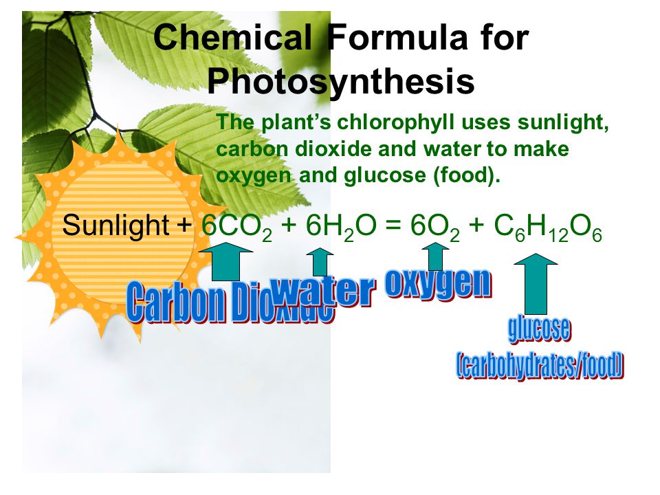 Chemical Formula for Photosynthesis
