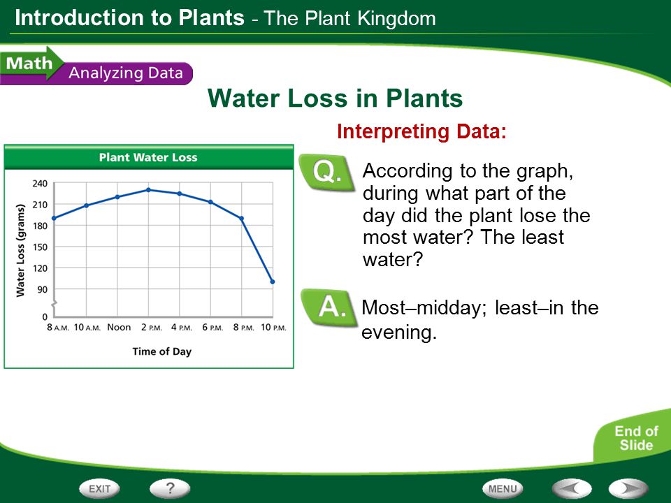 Water Loss in Plants - The Plant Kingdom Interpreting Data: