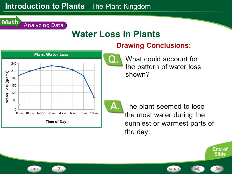 Water Loss in Plants - The Plant Kingdom Drawing Conclusions: