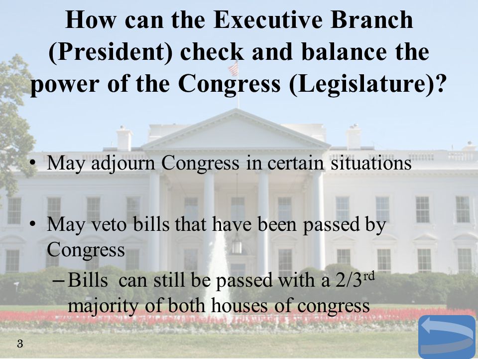 How can the Executive Branch (President) check and balance the power of the Congress (Legislature)