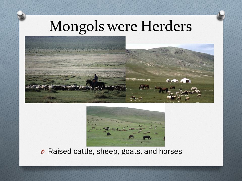 Mongols were Herders Raised cattle, sheep, goats, and horses