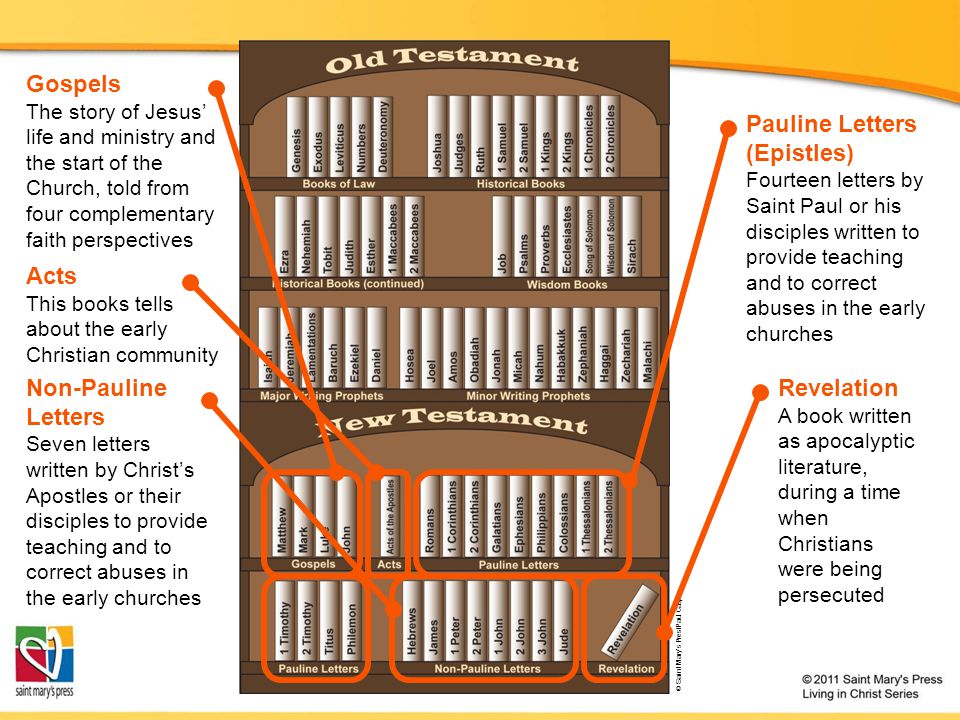 Gospels Pauline Letters (Epistles) Acts Non-Pauline Letters Revelation
