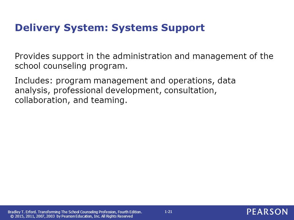 Delivery System: Systems Support