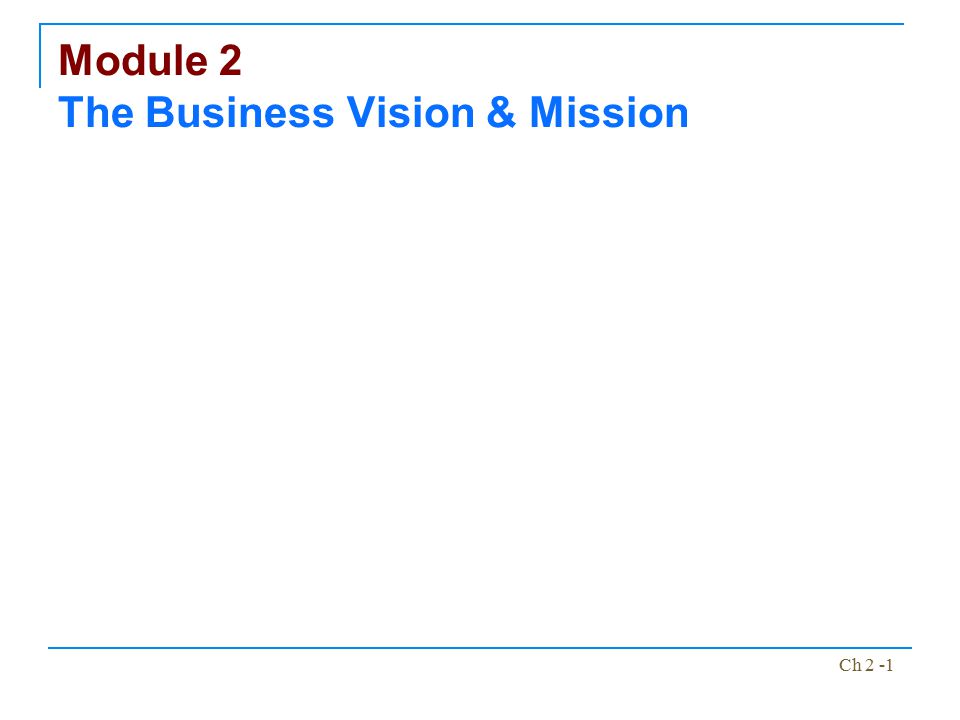 Module 2 The Business Vision & Mission