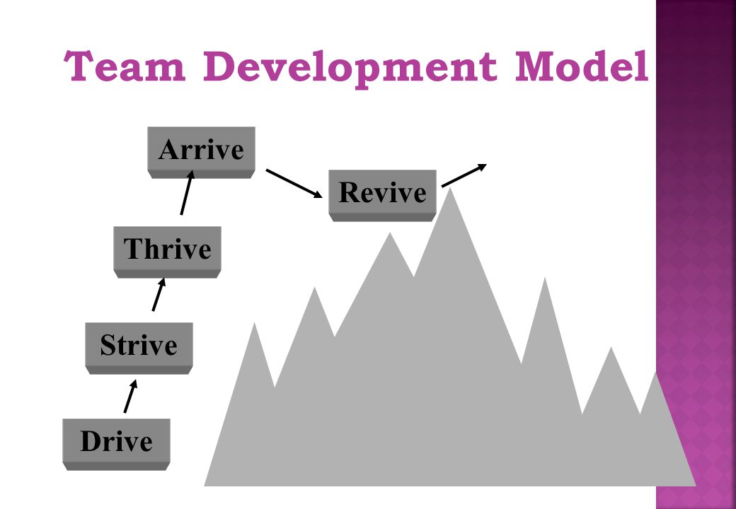 Team Development Model