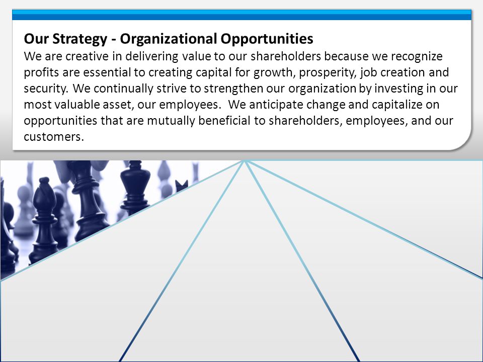 Our Strategy - Organizational Opportunities
