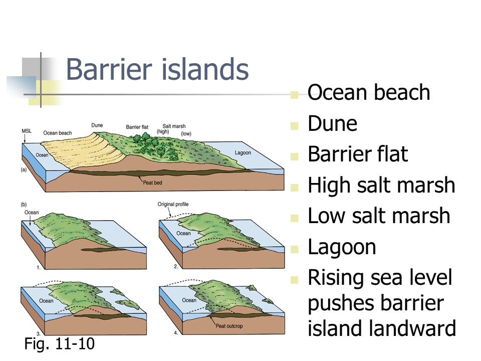 Barrier islands Ocean beach Dune Barrier flat High salt marsh