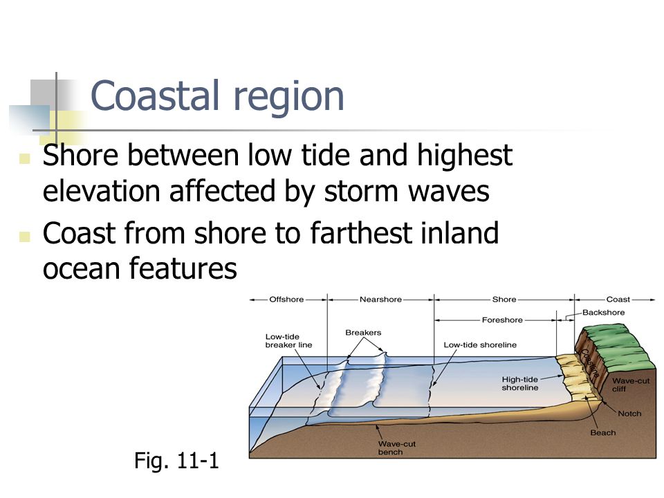 Coastal region Shore between low tide and highest elevation affected by storm waves. Coast from shore to farthest inland ocean features.